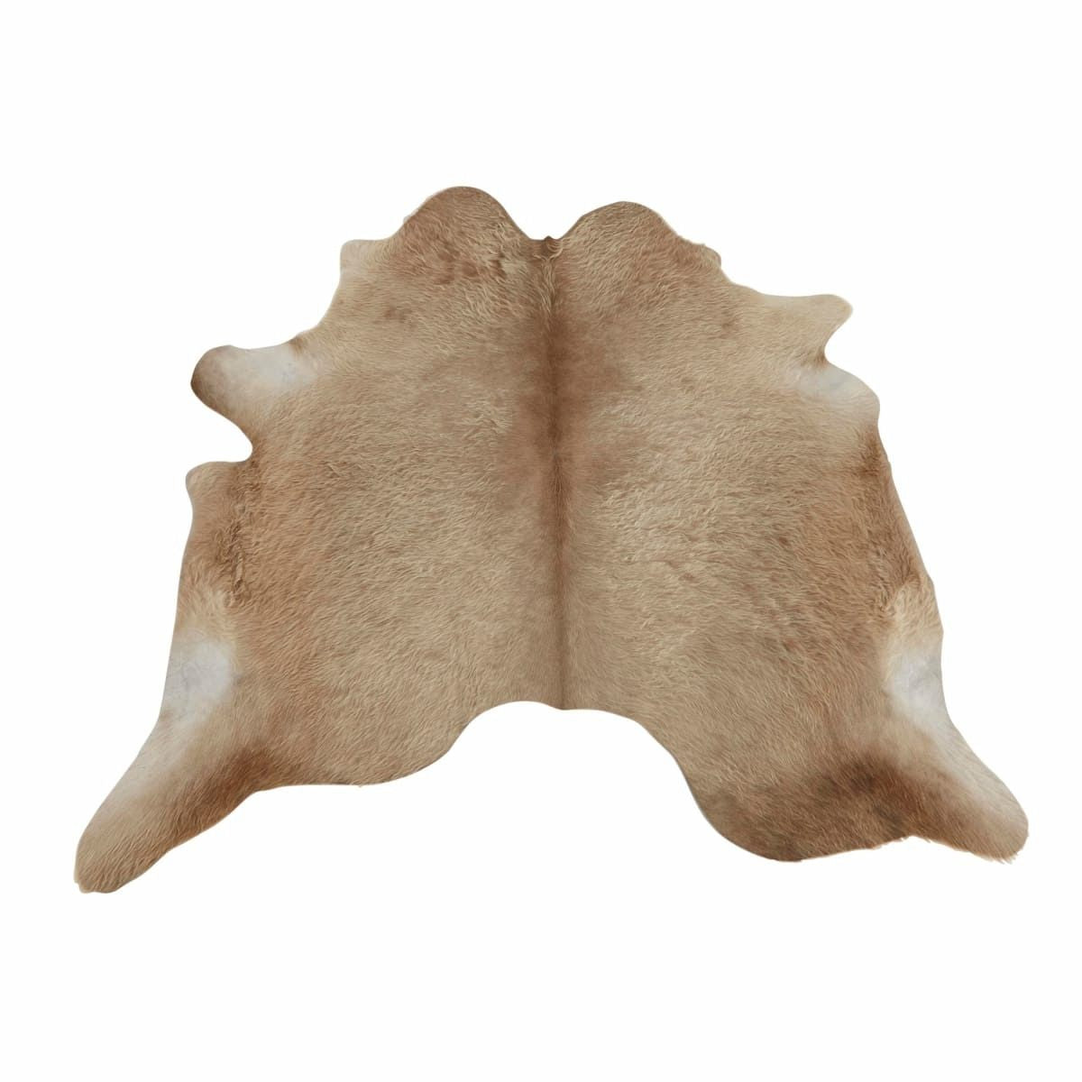 Allgäuer Rindvieh 2-3 m²