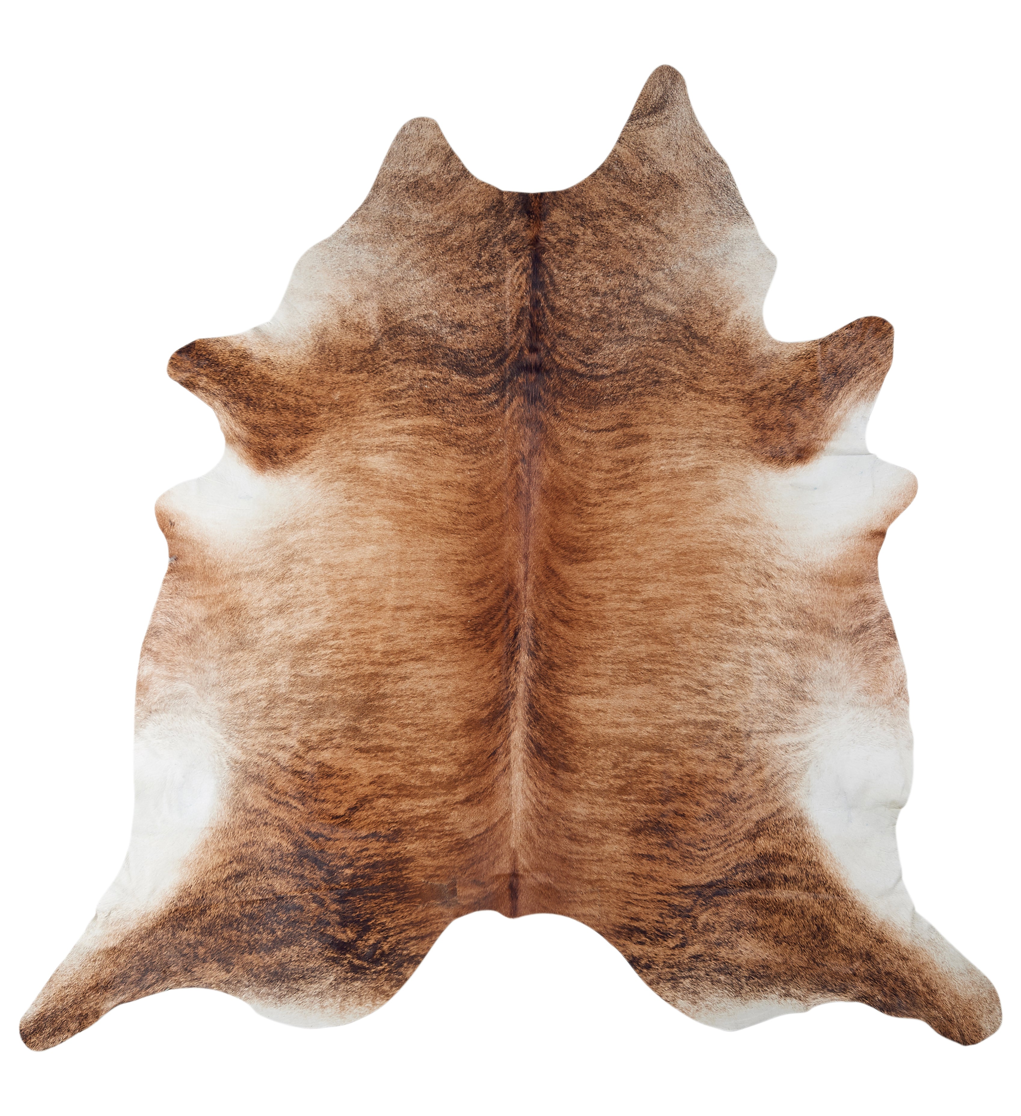 Stierfell EXOTE ca. 3-4m²